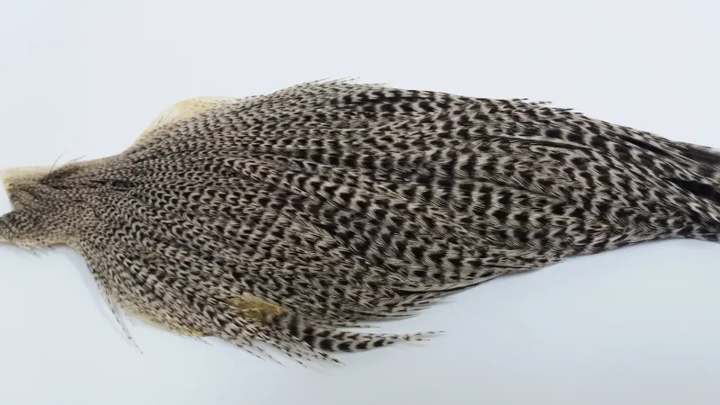 Whiting Hebert Miner Hen Cape in Grizzly Variant-4